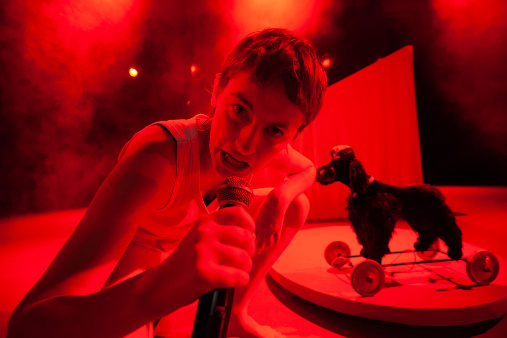 Elmer - Derk Stenvers 4